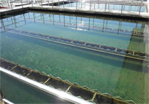 廢水處理絮凝劑沉澱池（chí）