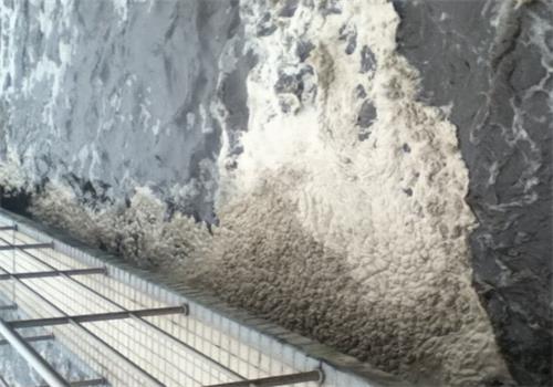 廢水處理氧化溝泥