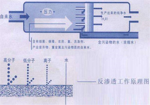 反滲（shèn）透