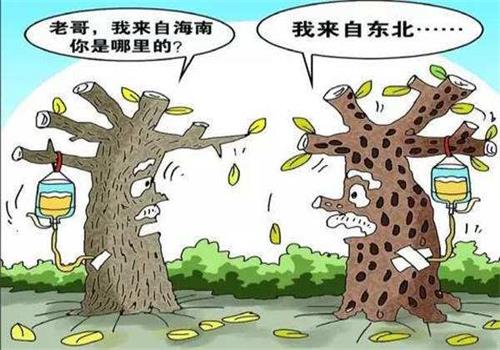 水土不服（fú）