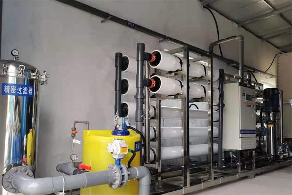 丹陽（yáng）雙級ro反滲透純水（shuǐ）係統廠家