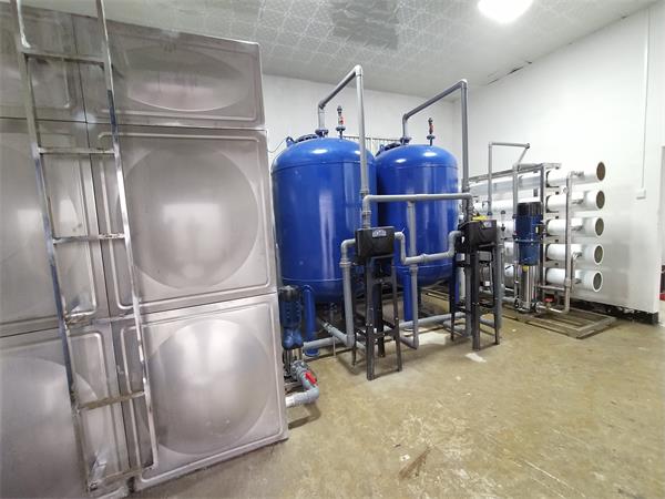 蔬菜精加工純水設備