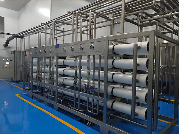 工業反滲透純水裝（zhuāng）置