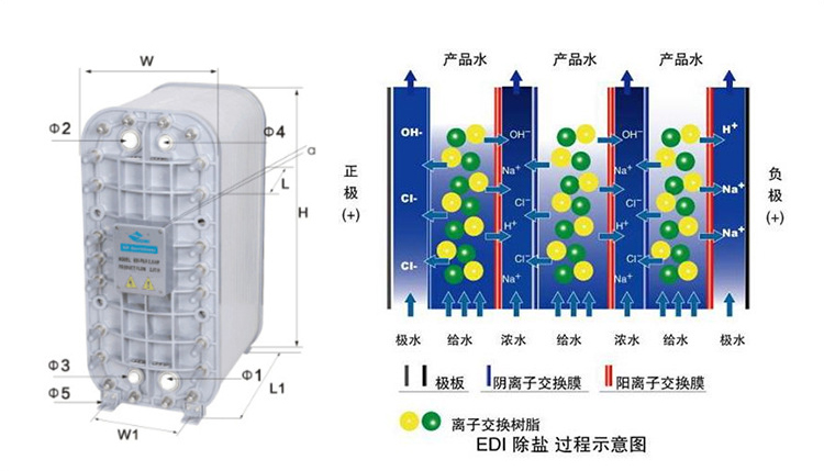 電子超純水設備技術（shù）原理